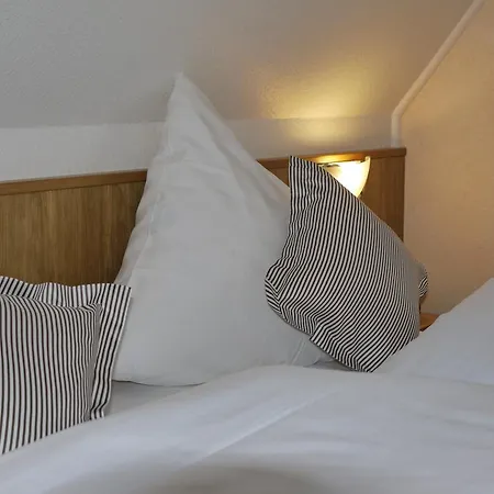 Guest house Zur Post 3*