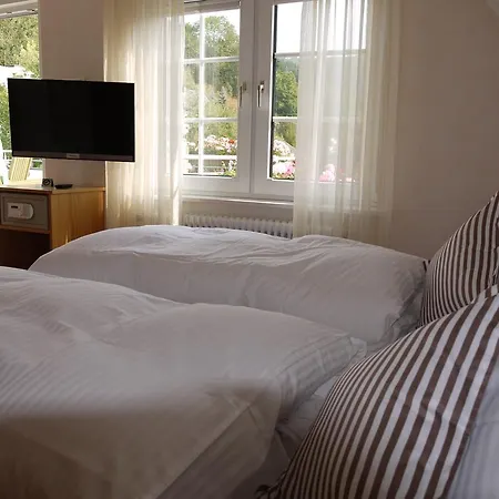 Guest house Zur Post